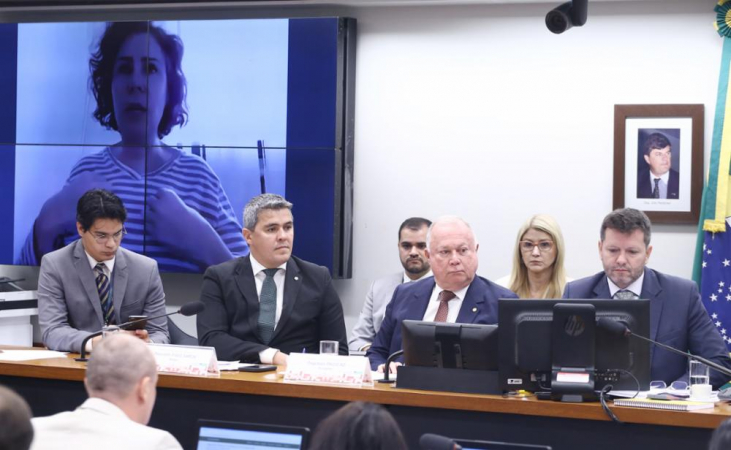 Carla Zambelli participa de forma virtual de sessão realizada pela CCJ da Câmara sobre a condenação dela no STF