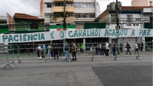 palmeiras