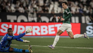 botafogo e palmeiras