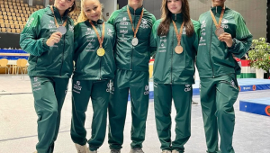 Ginástica artística