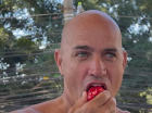 Kelly Slater morango