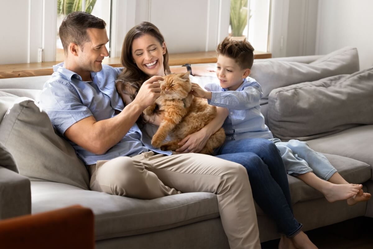 Alguns nomes são perfeitos para gatos carinhosos com os tutores 