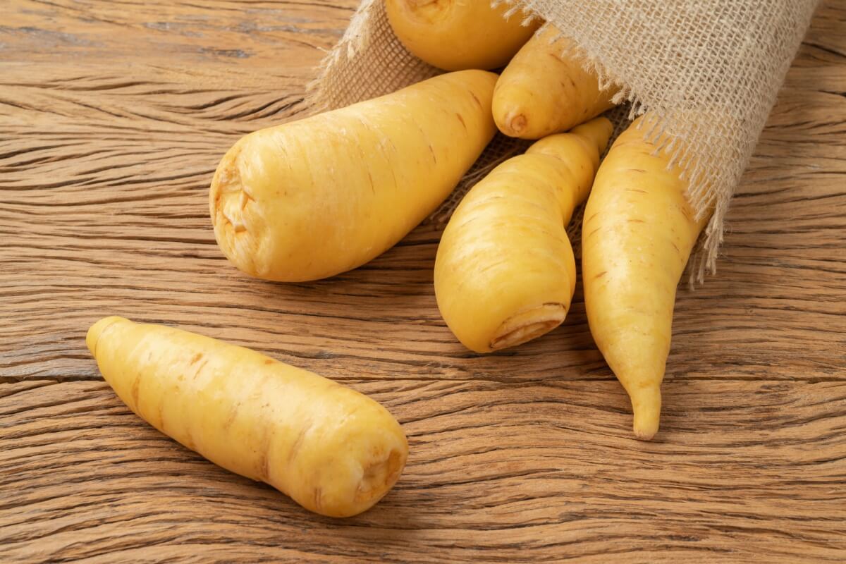 Além de versátil na cozinha, a mandioquinha é fonte de diversos nutrientes que a tornam uma excelente aliada da saúde 