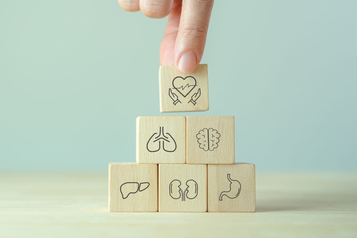 Mitos sobre a doação de órgãos dificultam esse ato de generosidade 