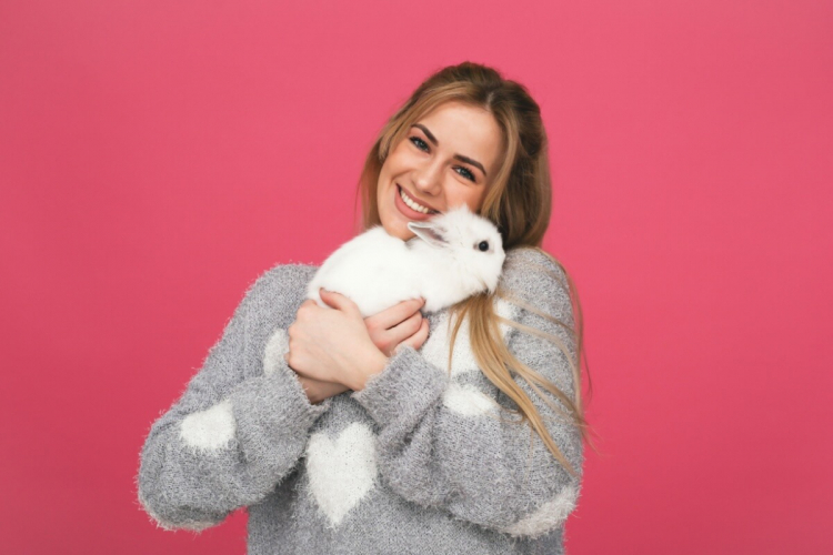 7 cuidados com coelhos de estimação