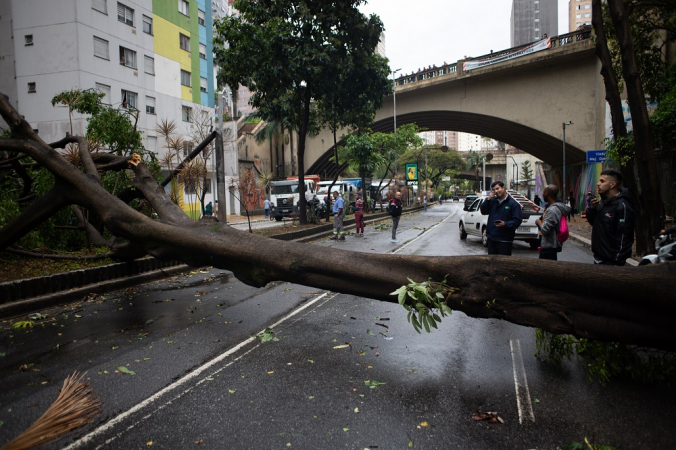 A queda de uma árvore bloqueou parcialmente as duas vias da Avenida 9 de Julho, na altura do Viaduto Major Quedinho, na região central de São Paulo