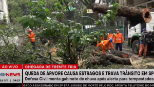 Chegada de uma frente fria e fortes ventos em São Paulo causa queda de uma árvore na Alameda Santos