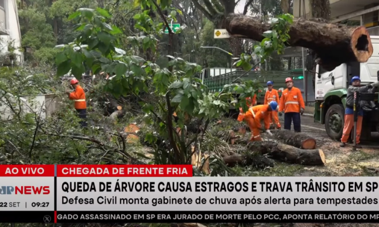 Chegada de uma frente fria e fortes ventos em São Paulo causa queda de uma árvore na Alameda Santos