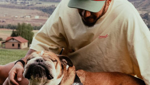 Lewis Hamilton anuncia a morte de seu cão Roscoe por meio das redes sociais