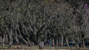 Cidade de São Paulo tem agosto mais seco desde 2020