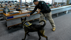 A Polícia Legislativa do Senado utiliza cães detectores, mais conhecidos como farejadores, para fazer varredura de armas e explosivos. O policial Floriano Pinheiro, da Secretaria de Polícia Legislativa do Senado Federal (SPol), conduz o cão Barth na operação. Foto: Geraldo Magela/Agência Senado