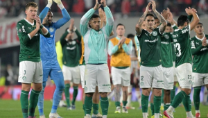 palmeiras libertadores