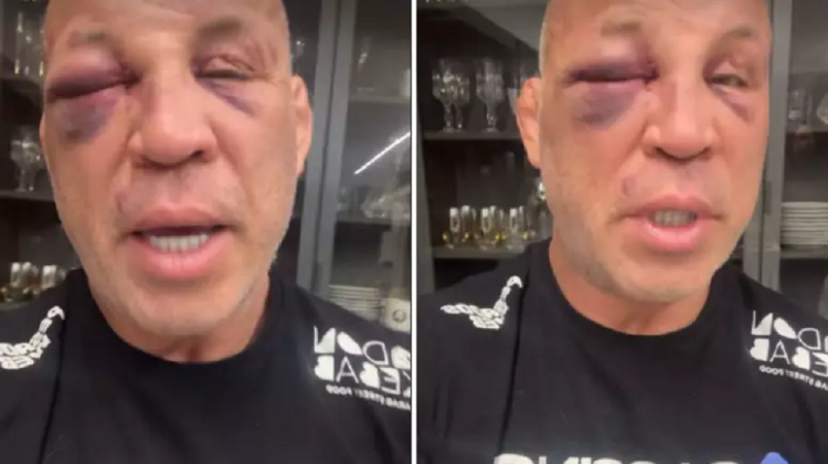 Wanderlei Silva