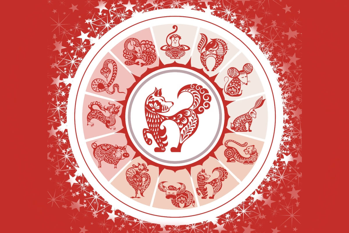 Outubro traz a influência do Cachorro, um signo criativo, leal e pacífico 