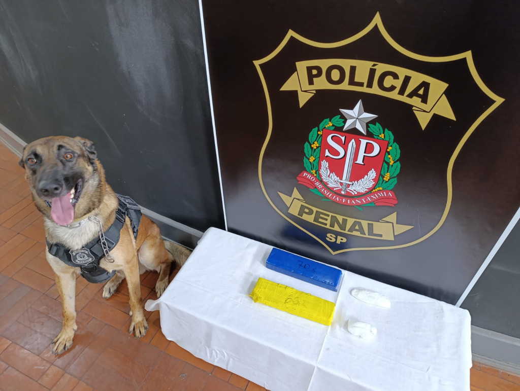 Exclusivo: Veja saldo de celulares e drogas apreendidos após saidinha temporária em São Paulo