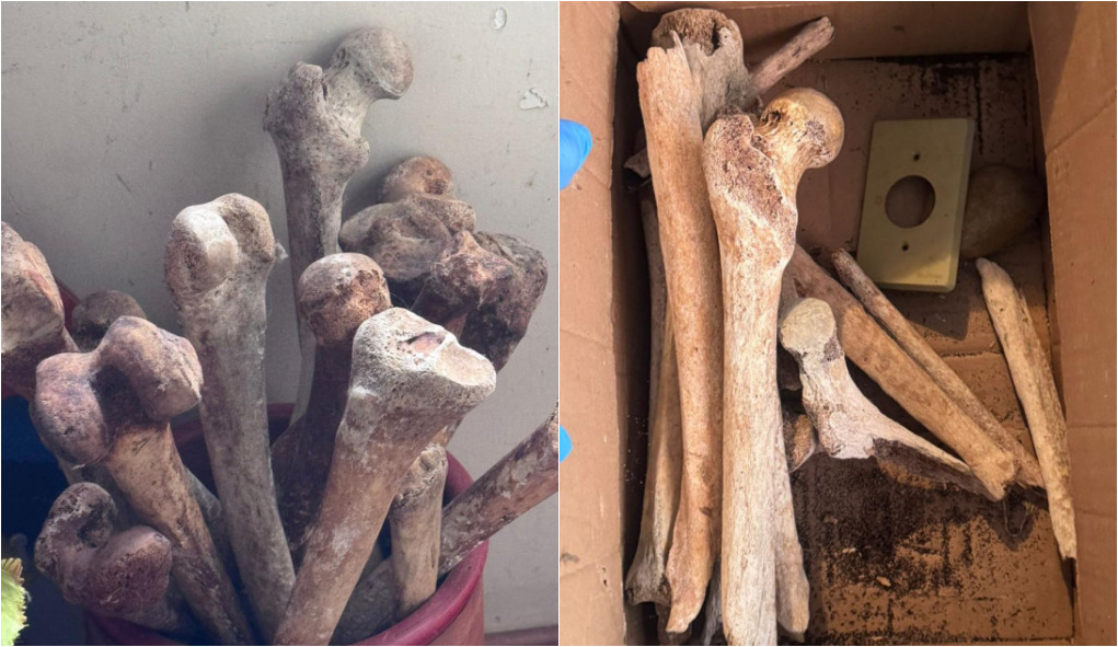 PM encontra ossos e crânios humanos em apartamento nos Jardins, em SP