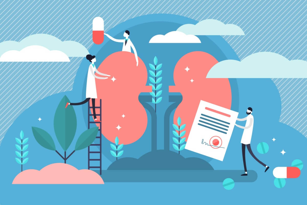 Cuidar da saúde dos rins no dia a dia é fundamental para evitar o câncer renal 