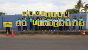 Ativistas do Greenpeace protestam em Brasília