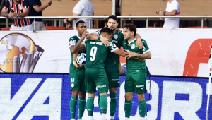 Palmeiras comemoram