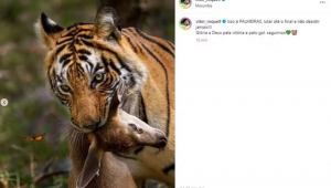 Vitor Roque publica imagem homofóbica após vitória do Palmeiras sobre o São Paulo pelo Campeonato Brasileiro