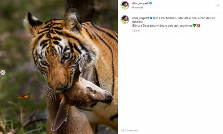Vitor Roque publica imagem homofóbica após vitória do Palmeiras sobre o São Paulo pelo Campeonato Brasileiro
