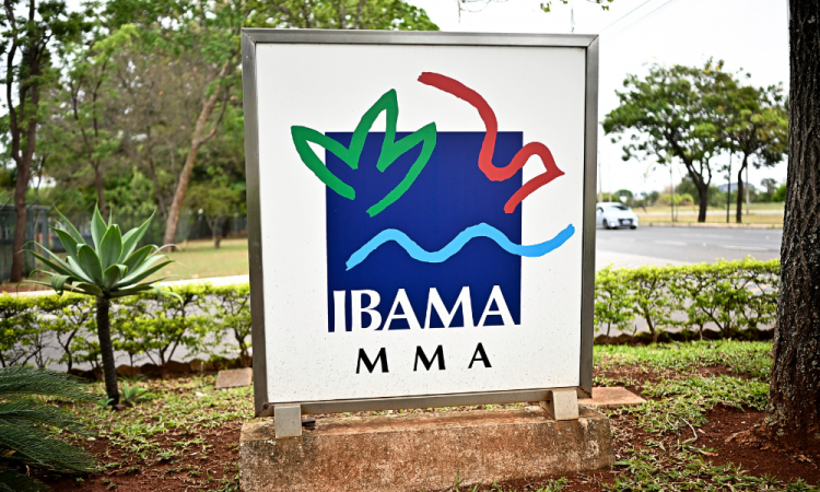 Instituto Brasileiro do Meio Ambiente e dos Recursos Naturais Renováveis (Ibama) concede autorização para Petrobras realizar a pesquisar petróleo na foz do Amazonas