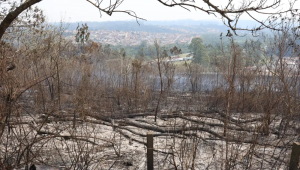 SP segue em atenção para queimadas; reservatórios estão em alerta