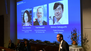 O Secretário-Geral do Comitê Nobel, Thomas Perlmann, discursa para jornalistas em frente a uma tela exibindo os retratos de (da esquerda para a direita) Mary E. Brunkow, Fred Ramsdell e Shimon Sakaguchi durante uma coletiva de imprensa onde os vencedores do Prêmio Nobel de Fisiologia ou Medicina de 2025 estão sendo anunciados no Instituto Karolinska em Estocolmo, Suécia, em 6 de outubro de 2025. Mary E. Brunkow e Fred Ramsdell, dos Estados Unidos, e Shimon Sakaguchi, do Japão, ganharam o Prêmio Nobel de Medicina na segunda-feira por pesquisas sobre como o sistema imunológico é mantido sob controle, disse o júri do Nobel. (Foto de Jonathan Nackstrand / AFP)