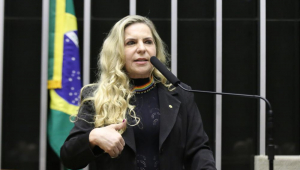 A deputada Luizianne LIns no pleário da Câmara