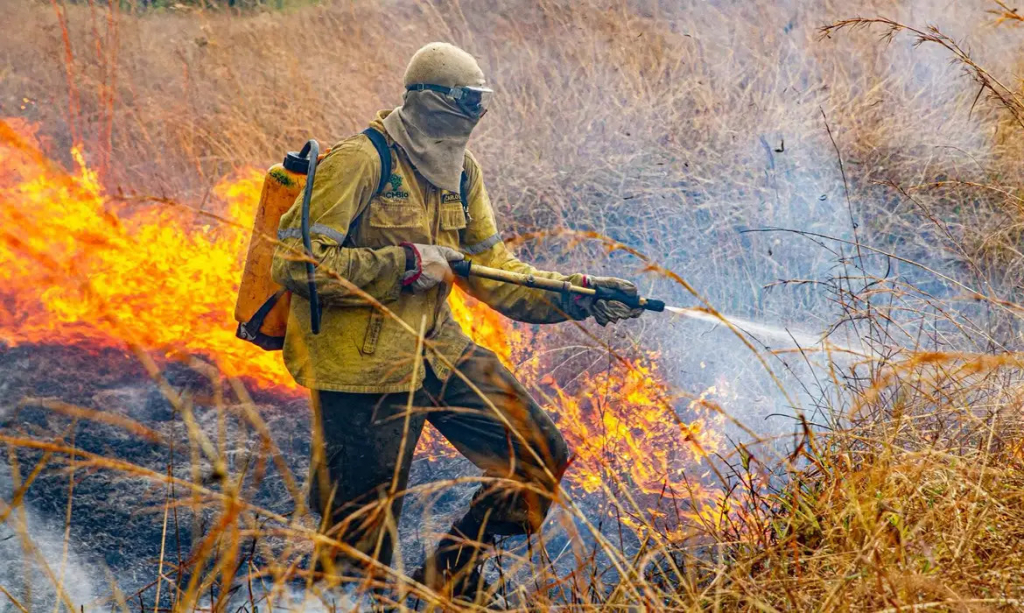 Raios provocam novo foco de incêndio na Chapada dos Veadeiros