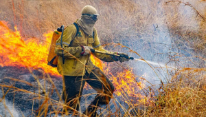 Novo foco de incêndio atinge o Parque Nacional da Chapada dos Veadeiros, em Goiás, causado por raios que atingiram a área durante as recentes chuvas na região