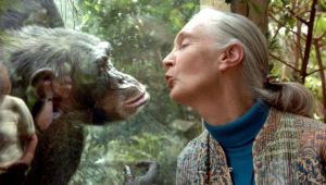 jane goodall