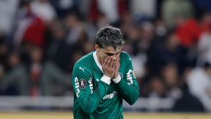 palmeiras libertadores