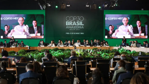 Ministra participou dos debates da Pré-COP nesta terça em Brasília
