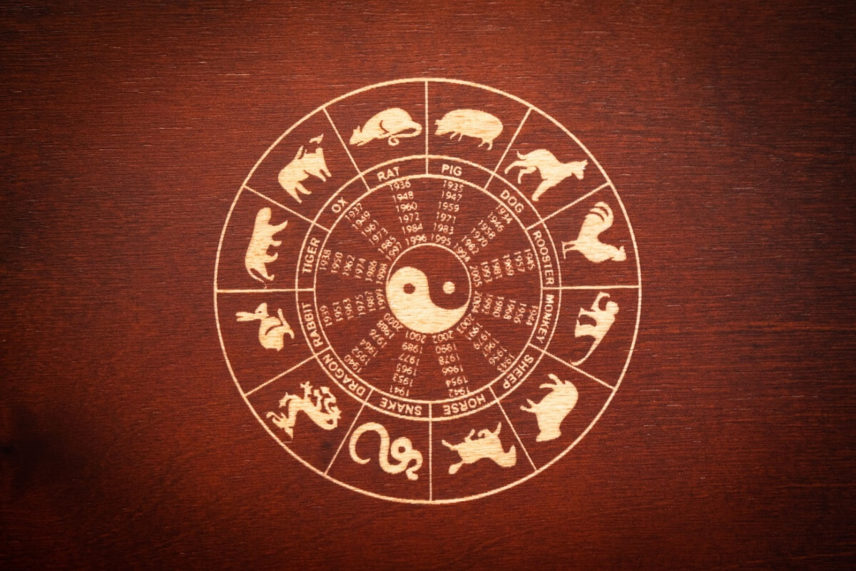 Novembro trará a influência do Javali, um signo misterioso e determinado 