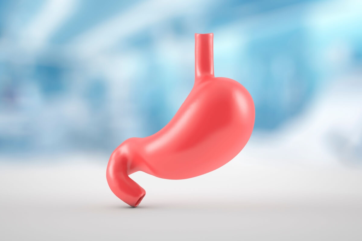 O consumo de frutas e vegetais tem efeito protetor contra o câncer de estômago 