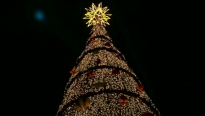 arvore de natal do villa lobos