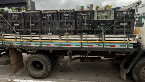 Polícia Civil de São Paulo faz nesta quinta-feira (6) uma operação contra bebidas falsificadas