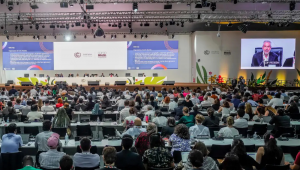 Uma das marcas da COP30, encerrada no sábado (22), em Belém, é a menção inédita aos afrodescendentes