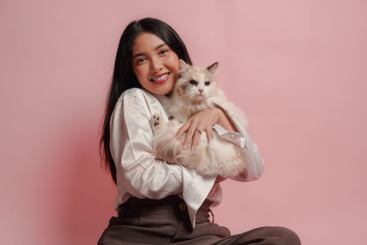 Algumas raças de gatos se destacam justamente por serem sociáveis e afetuosas 