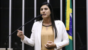 Dep. Chris Tonietto (PL - RJ)