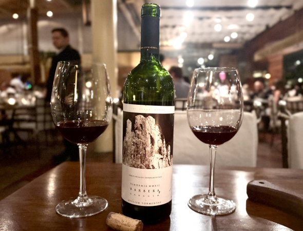 Uva Barbera é muito difundida pelos piemonteses e adaptou-se bem ao clima úmido da Serra Gaúcha