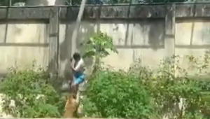 Homem é atacado por leoa após entrar no recinto em que o animal fica no Parque