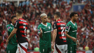Flamengo e Palmeiras