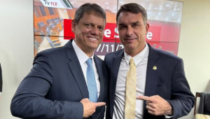 tarcísio de freitas e flavio bolsonaro