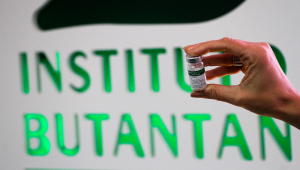 Vacina do Butantan freia replicação do vírus da dengue, diz estudo