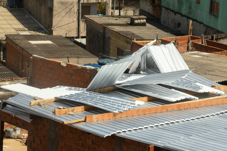 Ventania em São Paulo derruba árvores e fecha parques