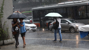 Pedestres se protegem da chuva que cai pela Avenida Paulista