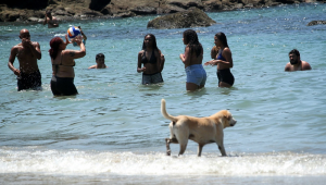 Banhistas aproveitam feriado de Natal de forte calor na Praia Branca do Guarujá