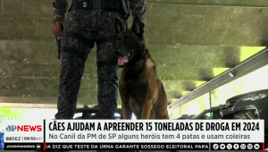 Cão policial